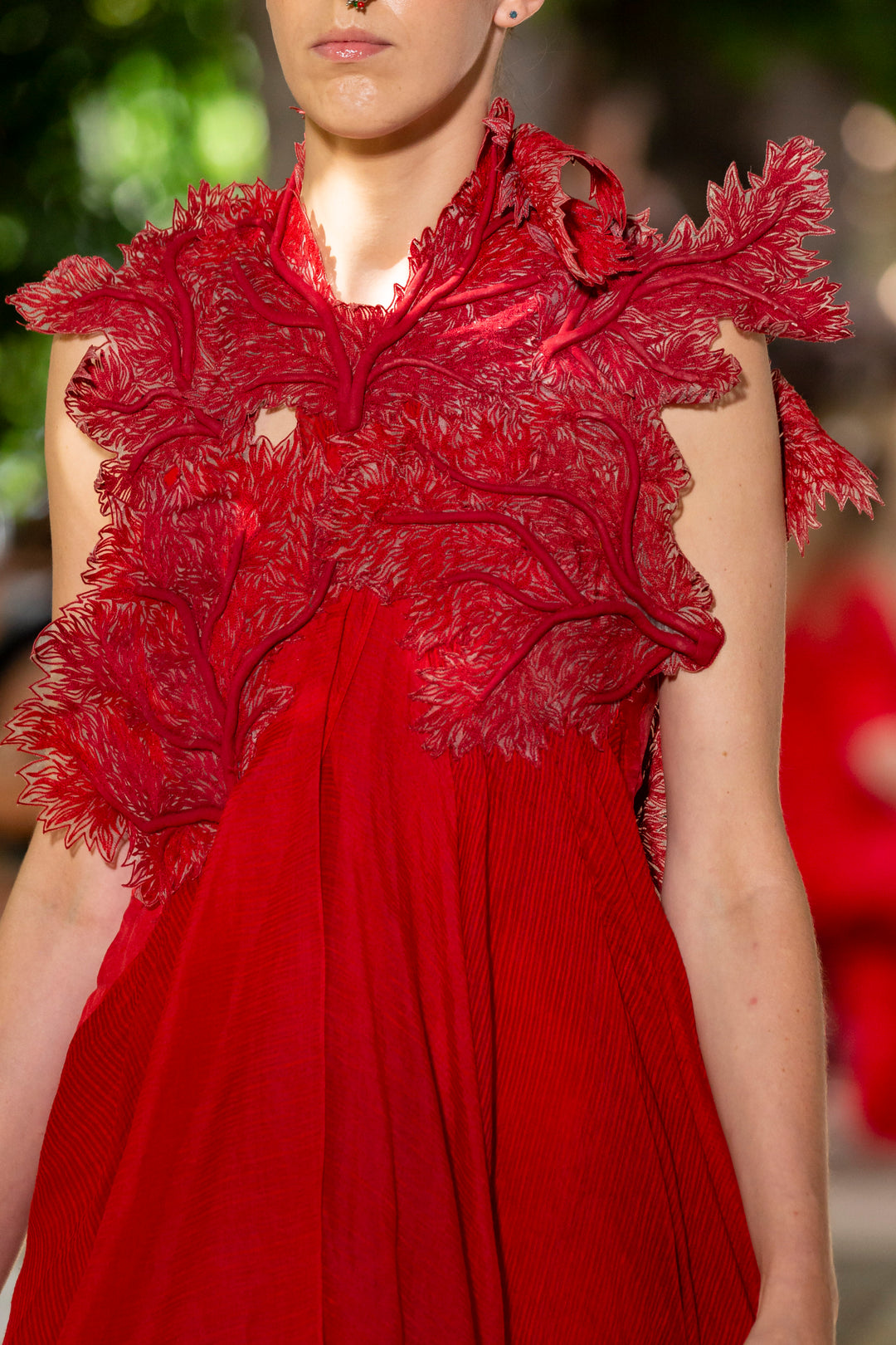 Red Coral Sheer Dress