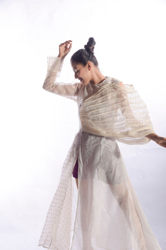 Chanderi Silk Corded Veil Dress